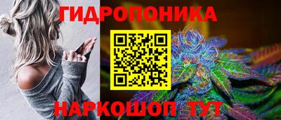 ECSTASY Славгород