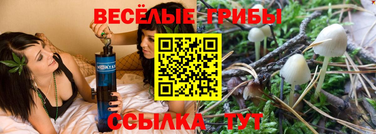 Галлюциногенные грибы мицелий Нововоронеж